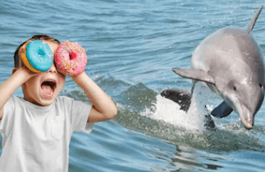 Donuts and Dolphins