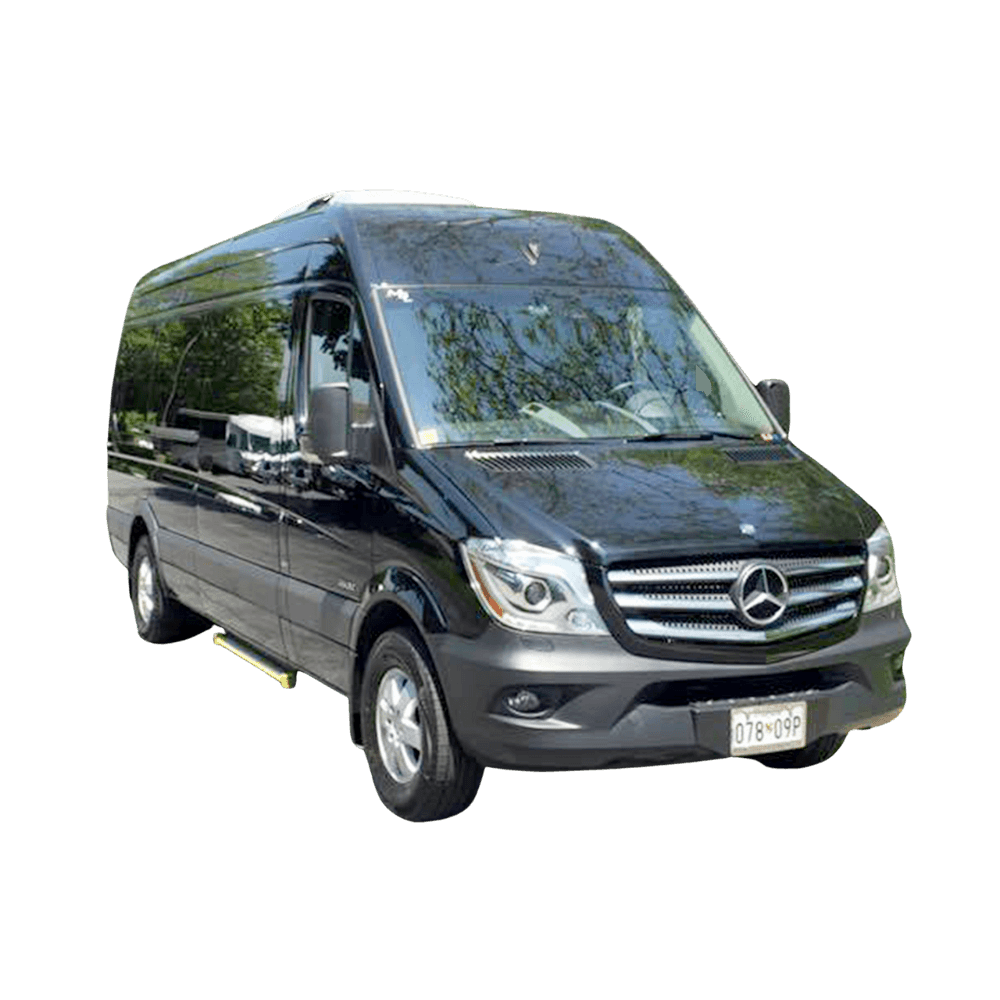 NYC Private Van Tour