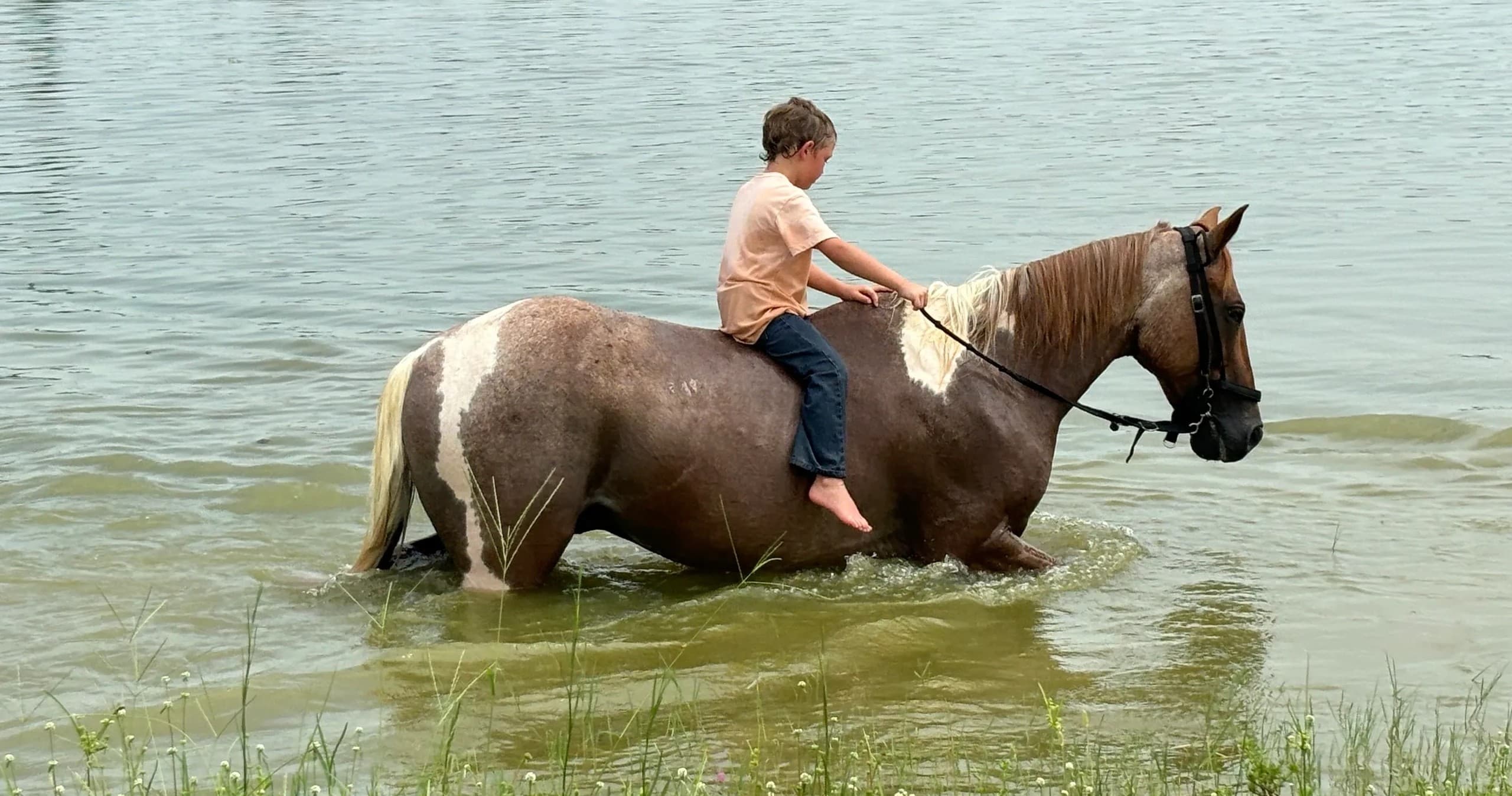 1-Hour Trail Ride: Riders' Retreat