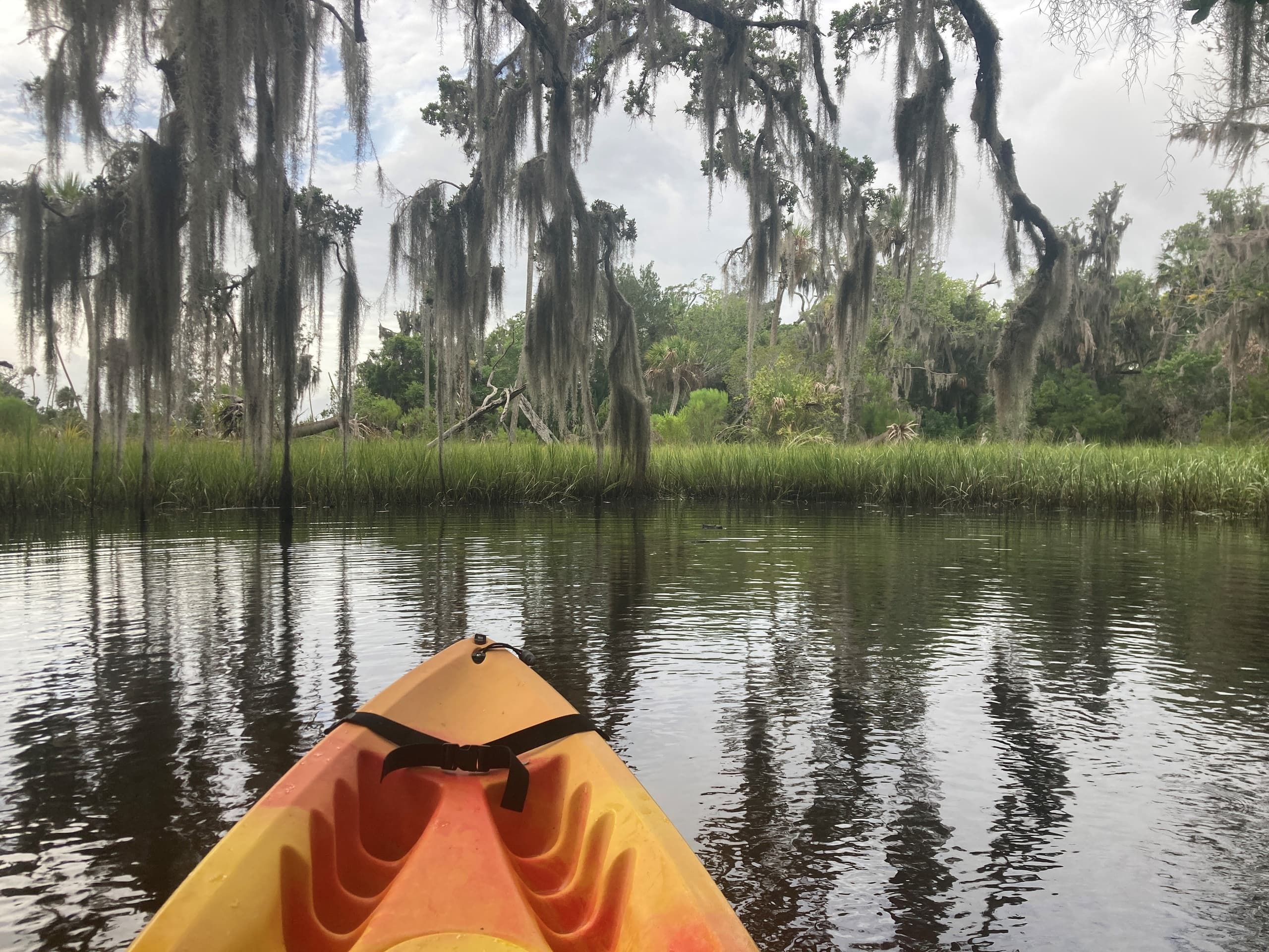 Kayak Rental