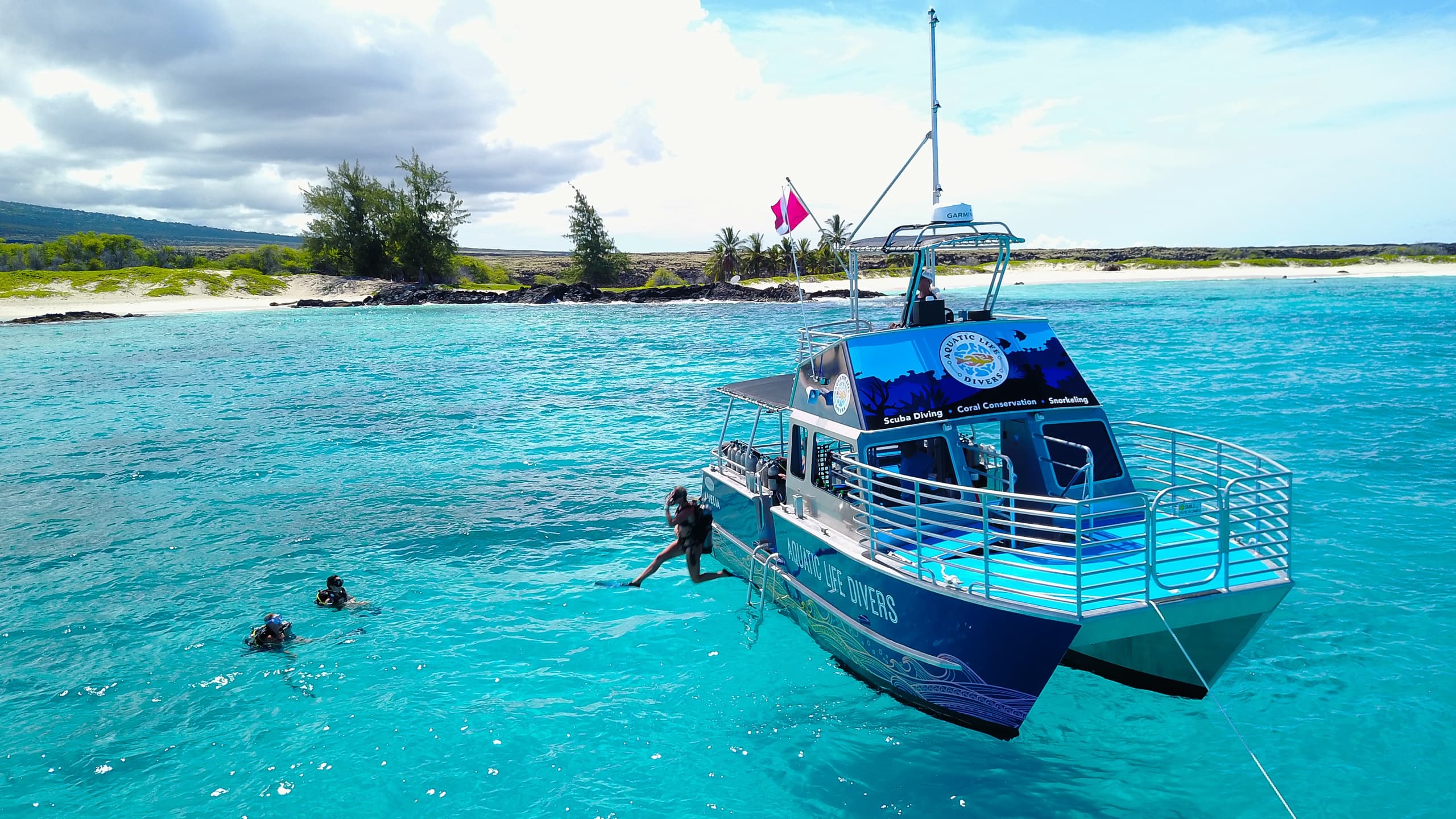 Two Tank Morning Reef Dive