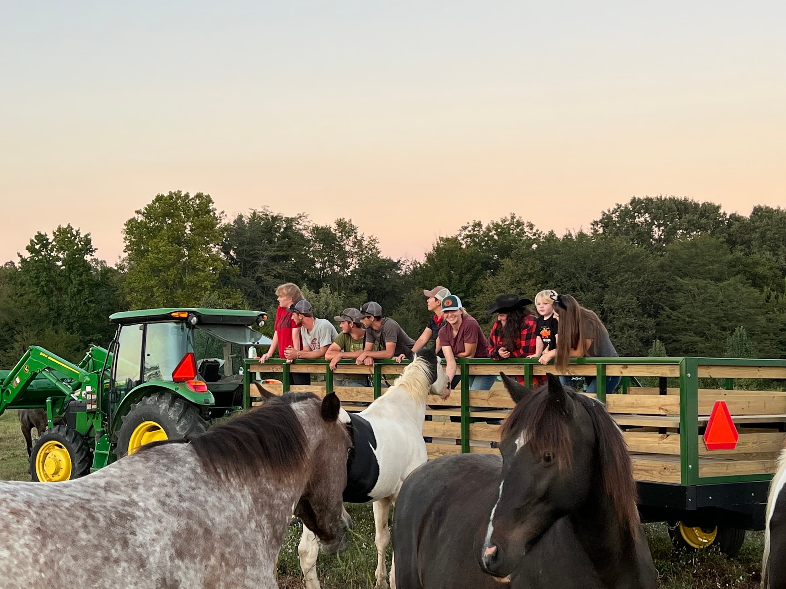 Family Wagon Ride Safari for all ages & weights