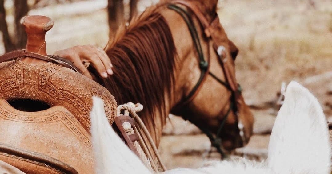 Horseback Proposal