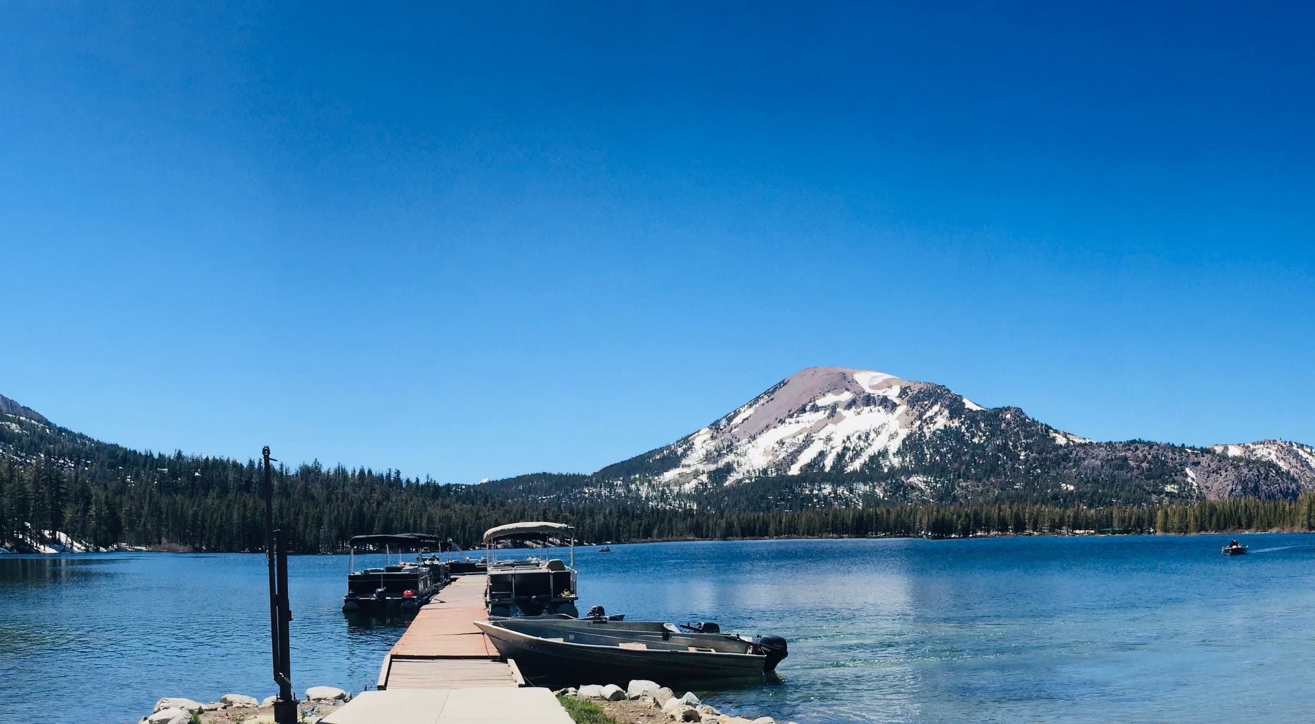 Pontoon and Motor Boat Rentals