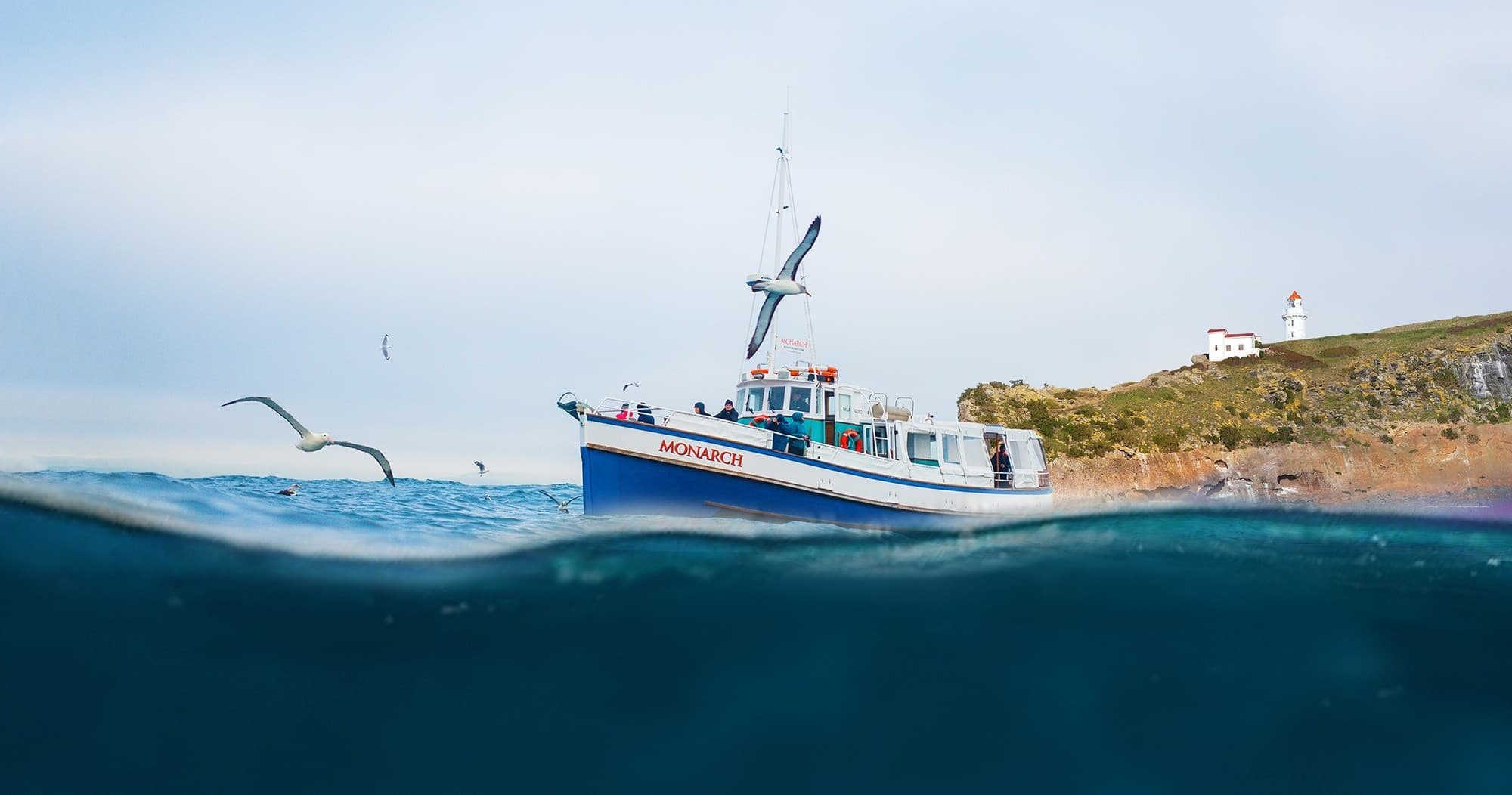 One-hour Wildlife Cruise