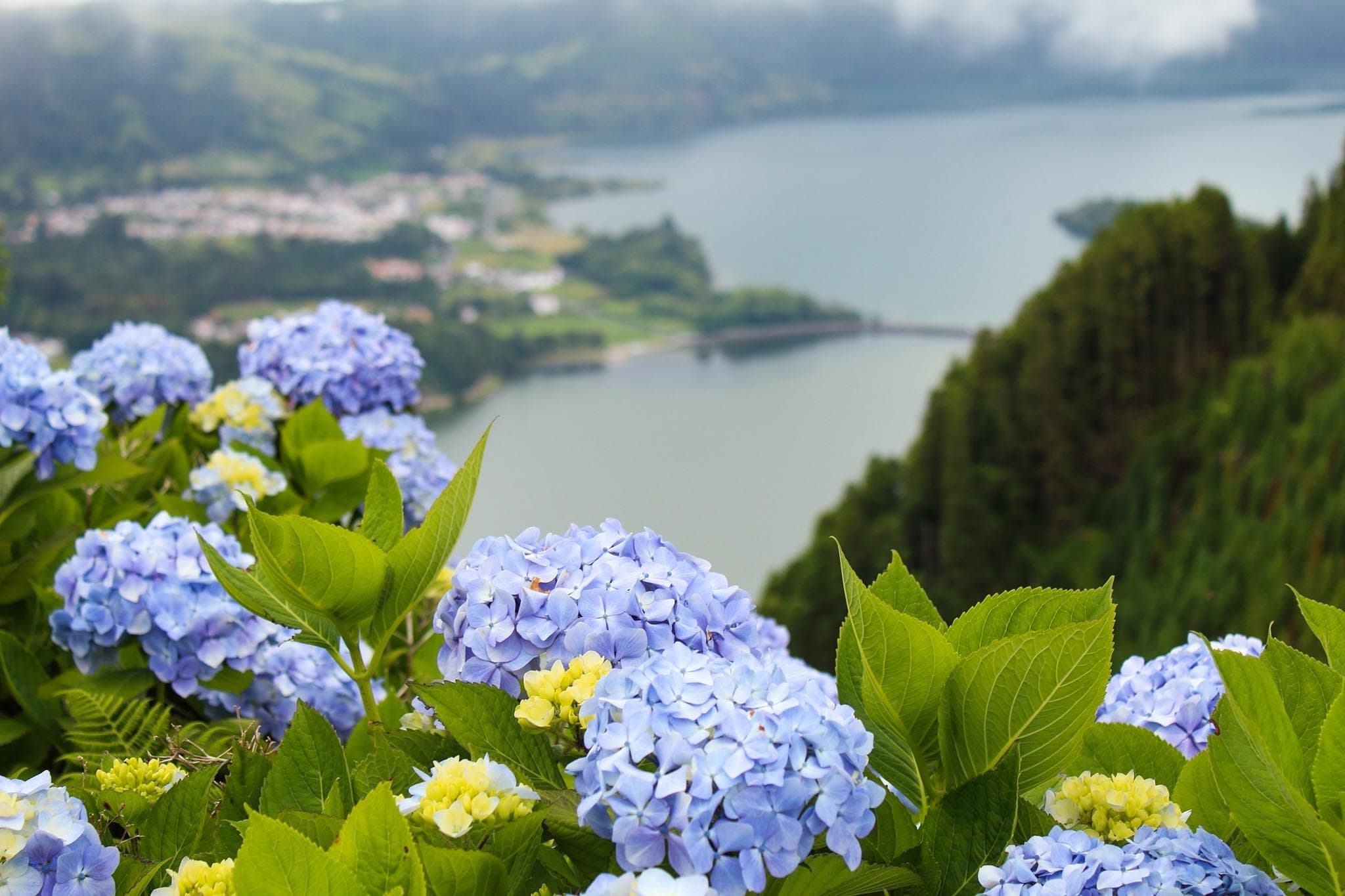 Sete Cidades + Canoas