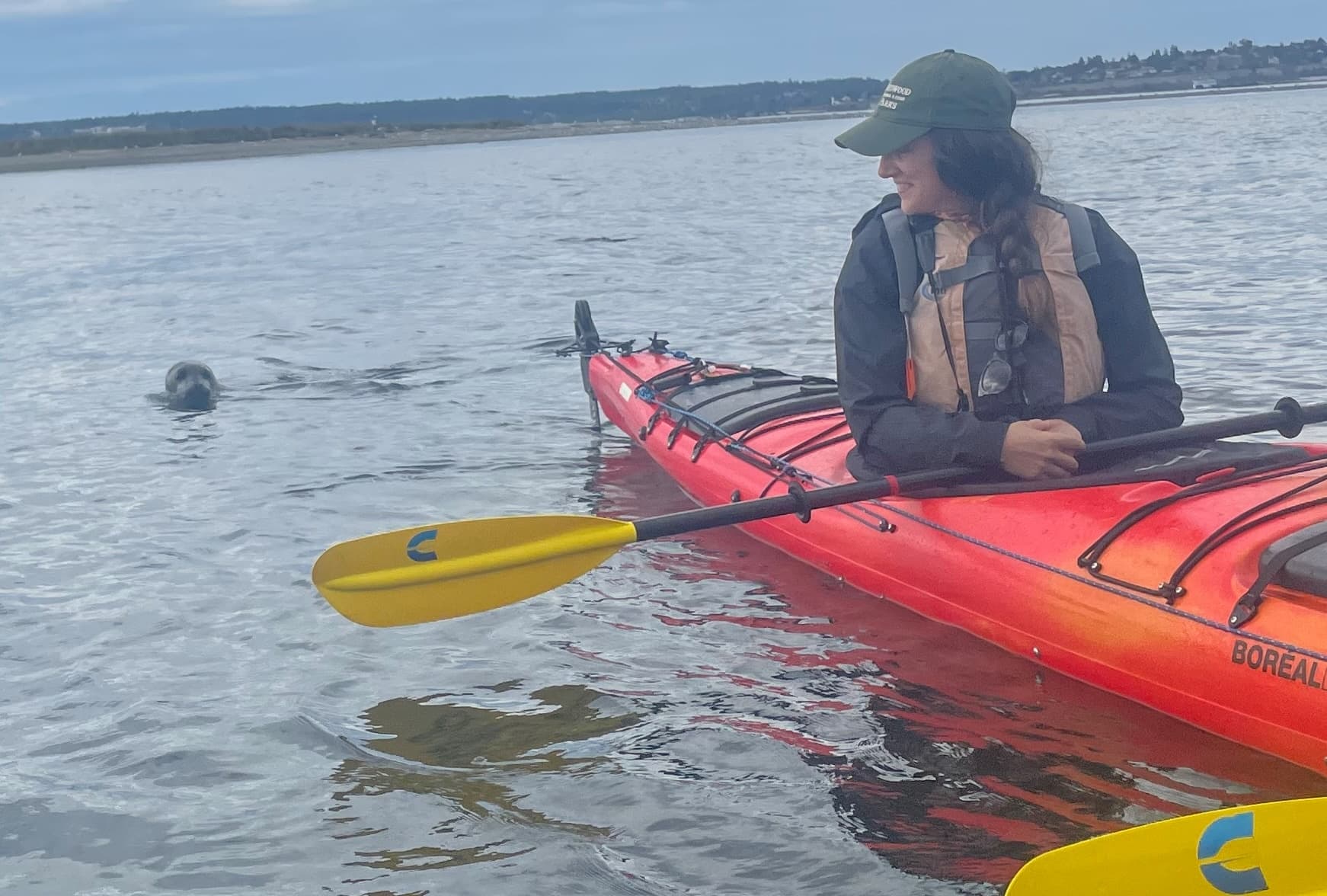 Wildlife Kayak Tour