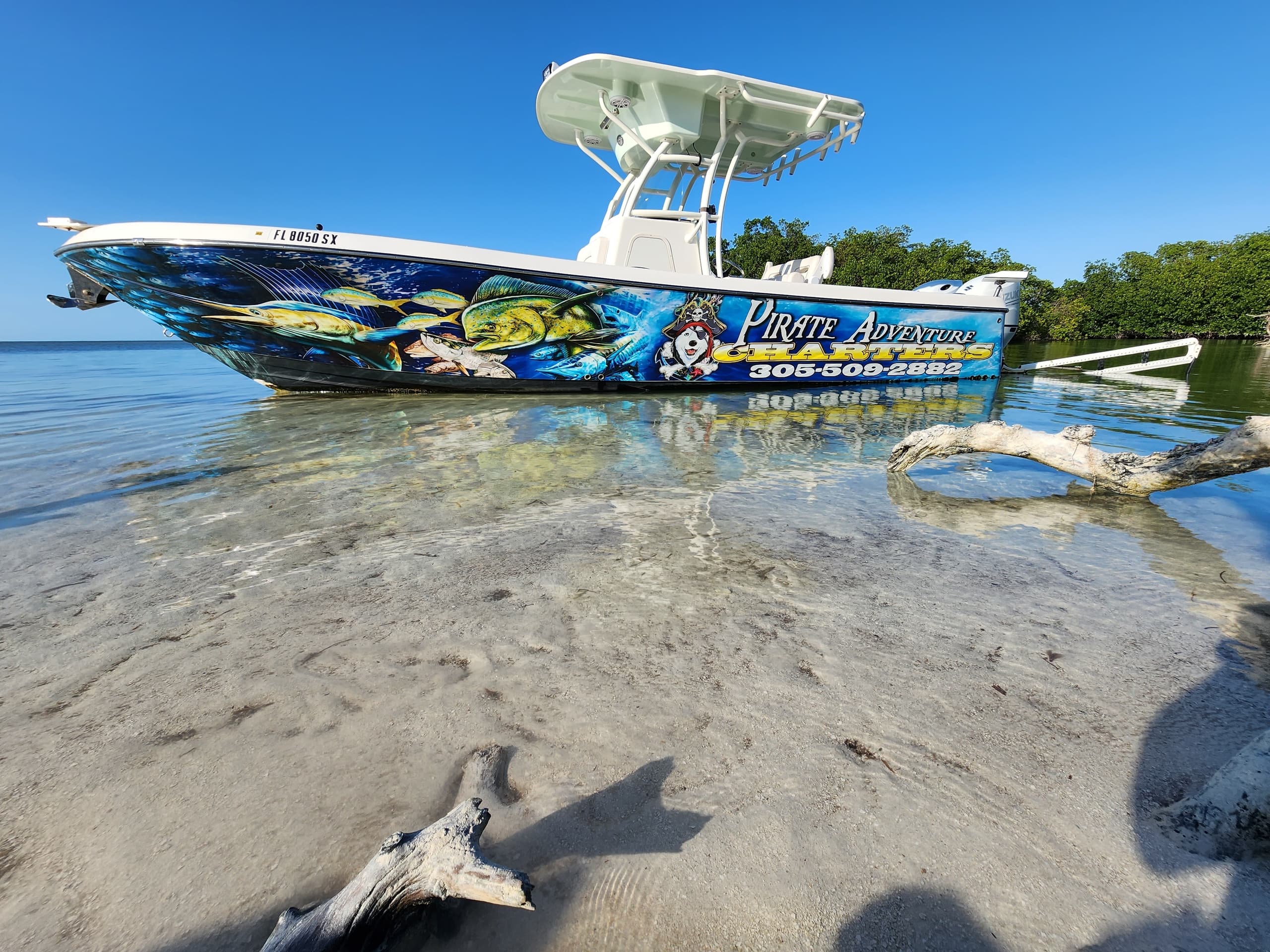 6 Hour Sandbar Trip