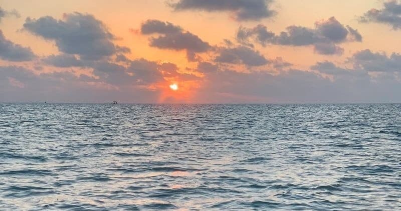 34 Seavee Sandbar Trips