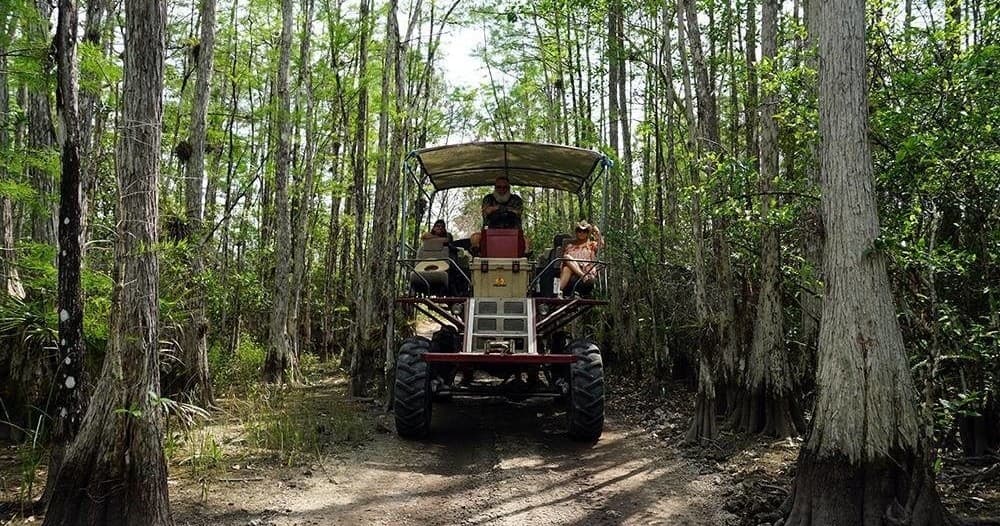 Buggy Tour