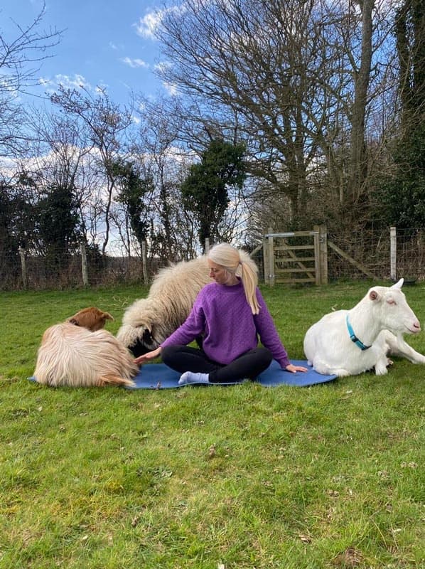 Goat & Sheep Yoga