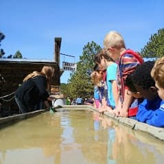 Gold Panning Lessons
