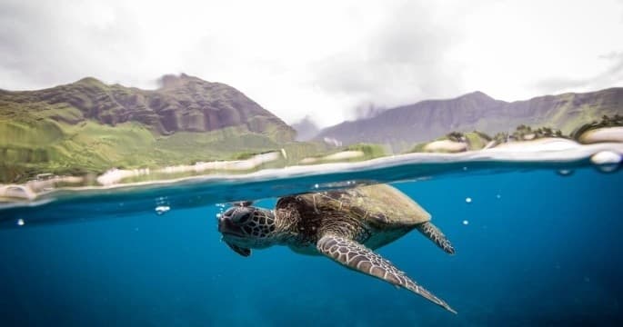 Ultimate Scuba Experience