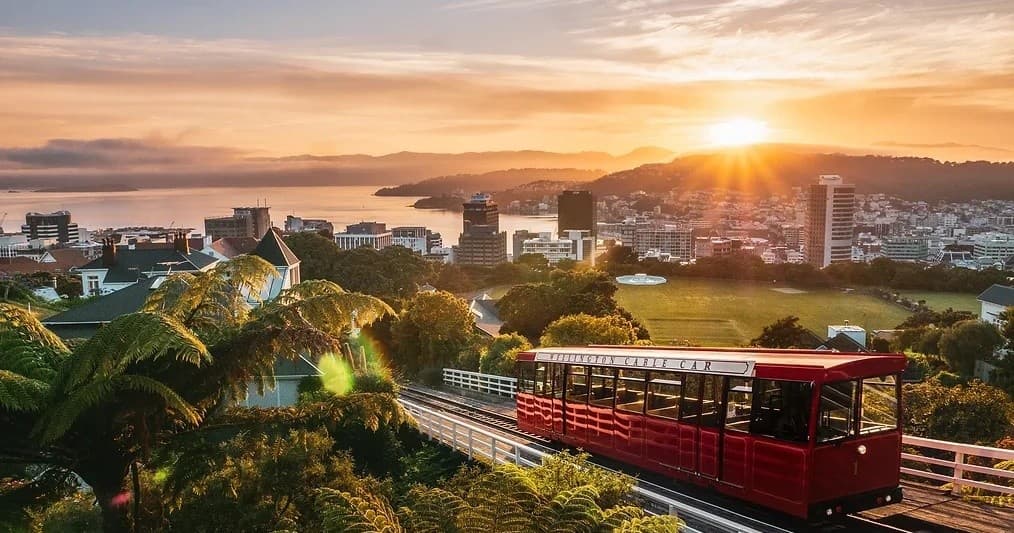 Wellington Highlights - Half Day