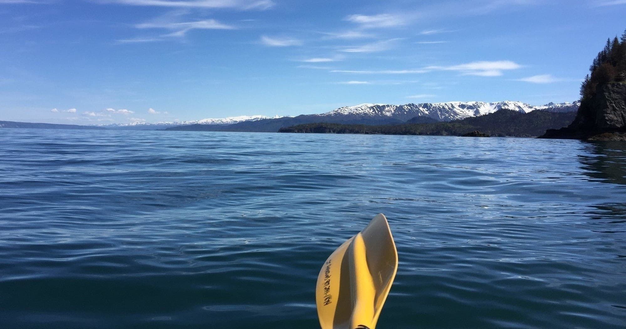 Go With The Flow" : Kayaking Tour"