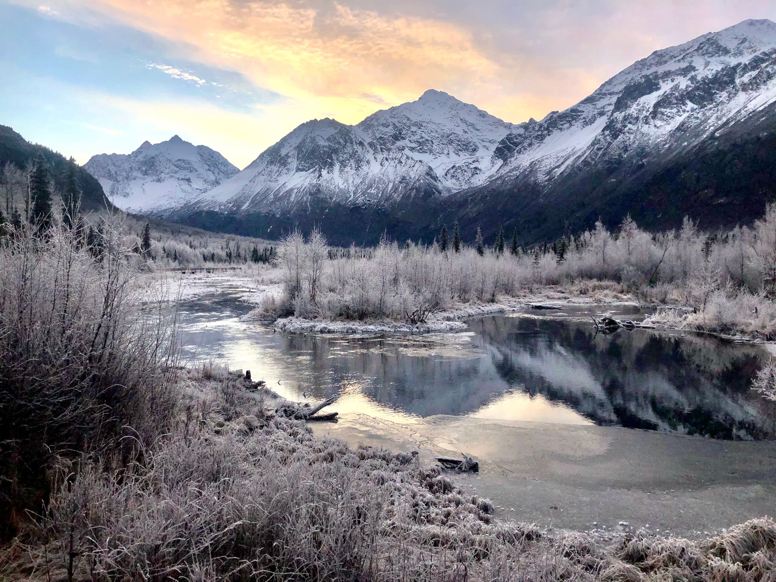 Winter Valley & Forest Hike