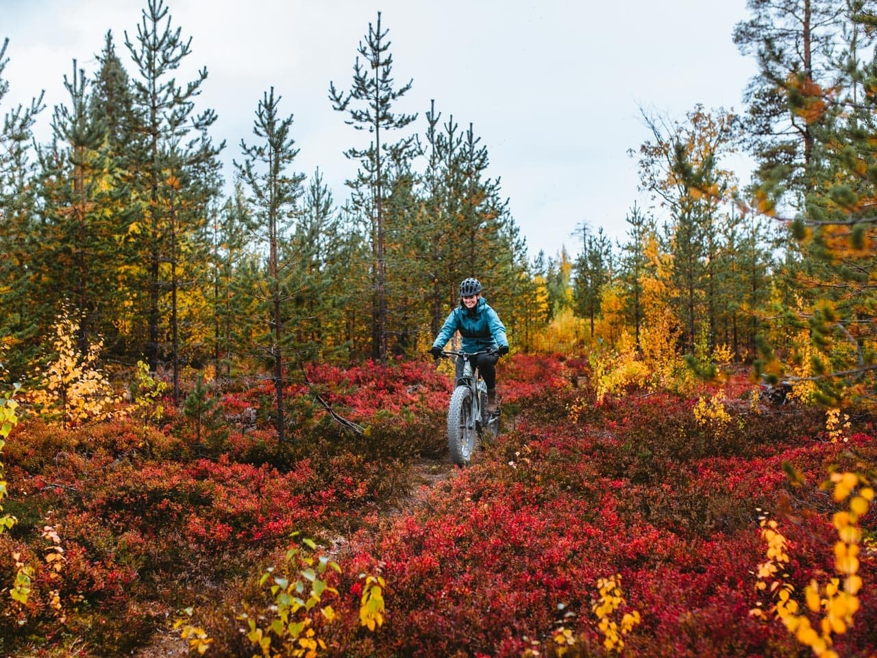 eFatbike Rental