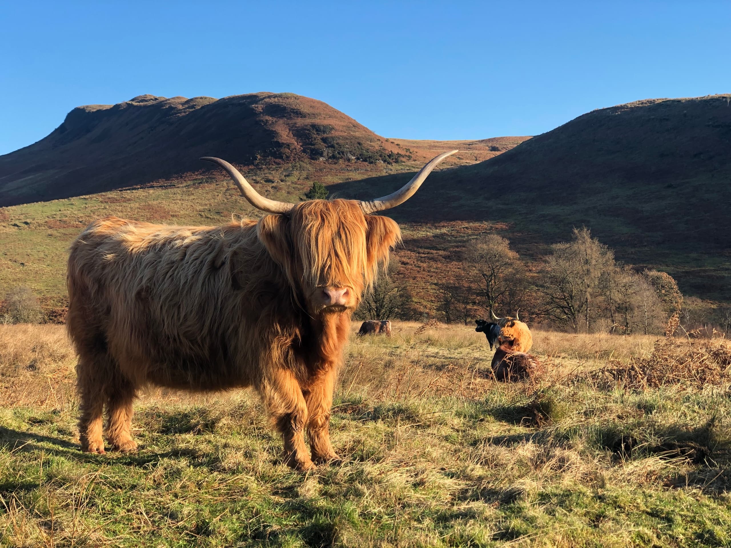 Nether Glenny Coos & Views