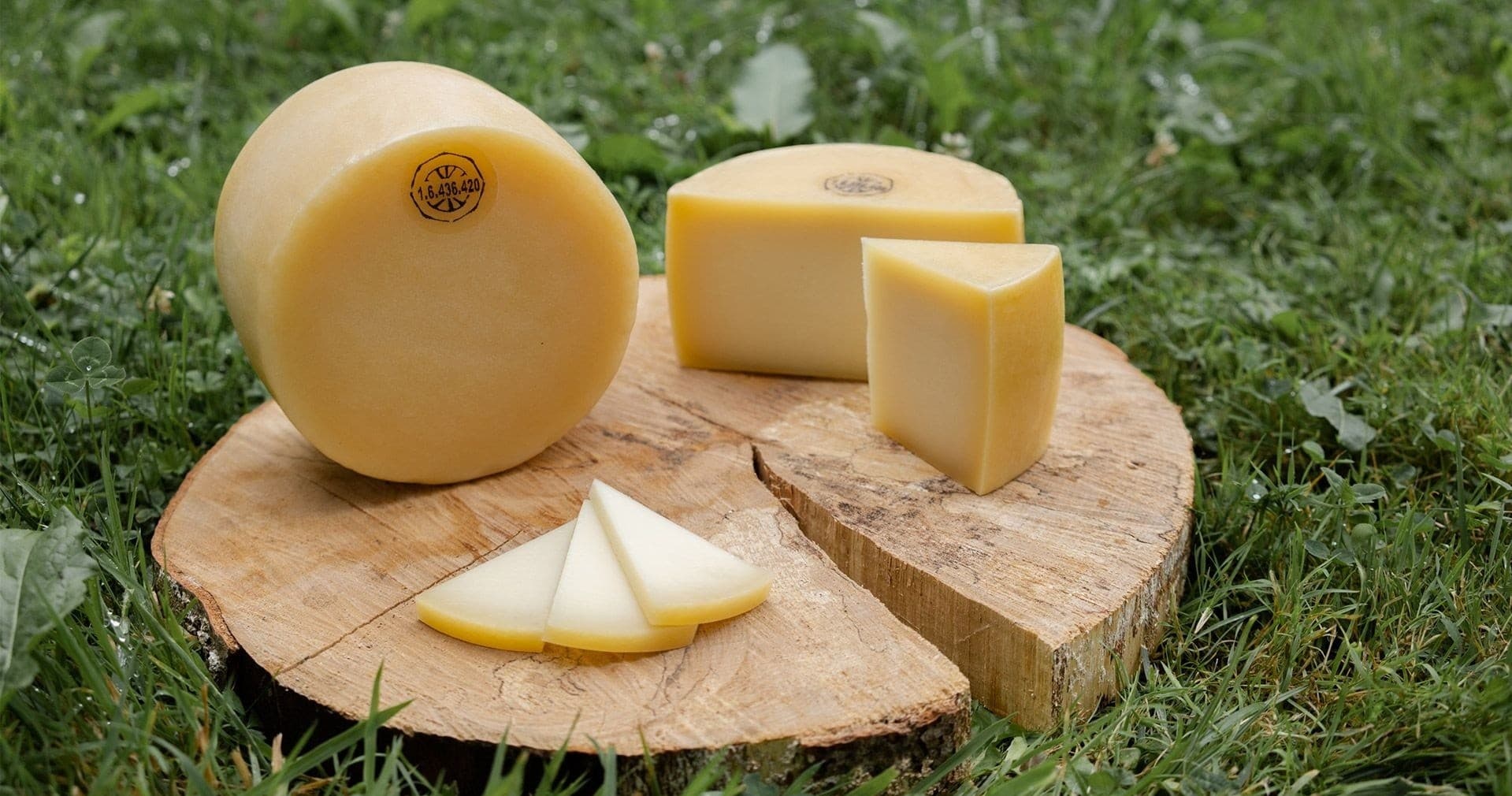 Idiazabal Cheese Factory