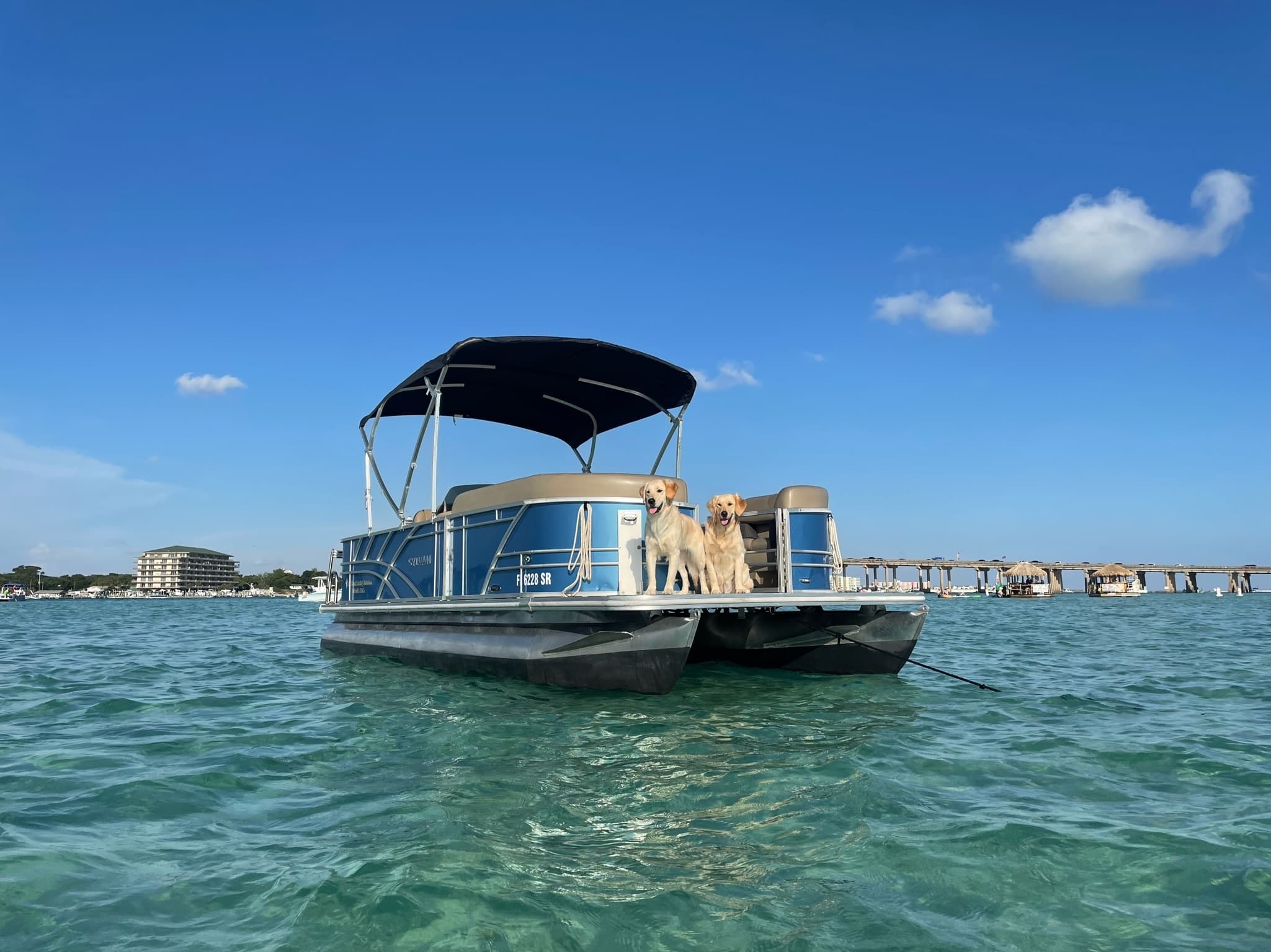 Pontoon Rental
