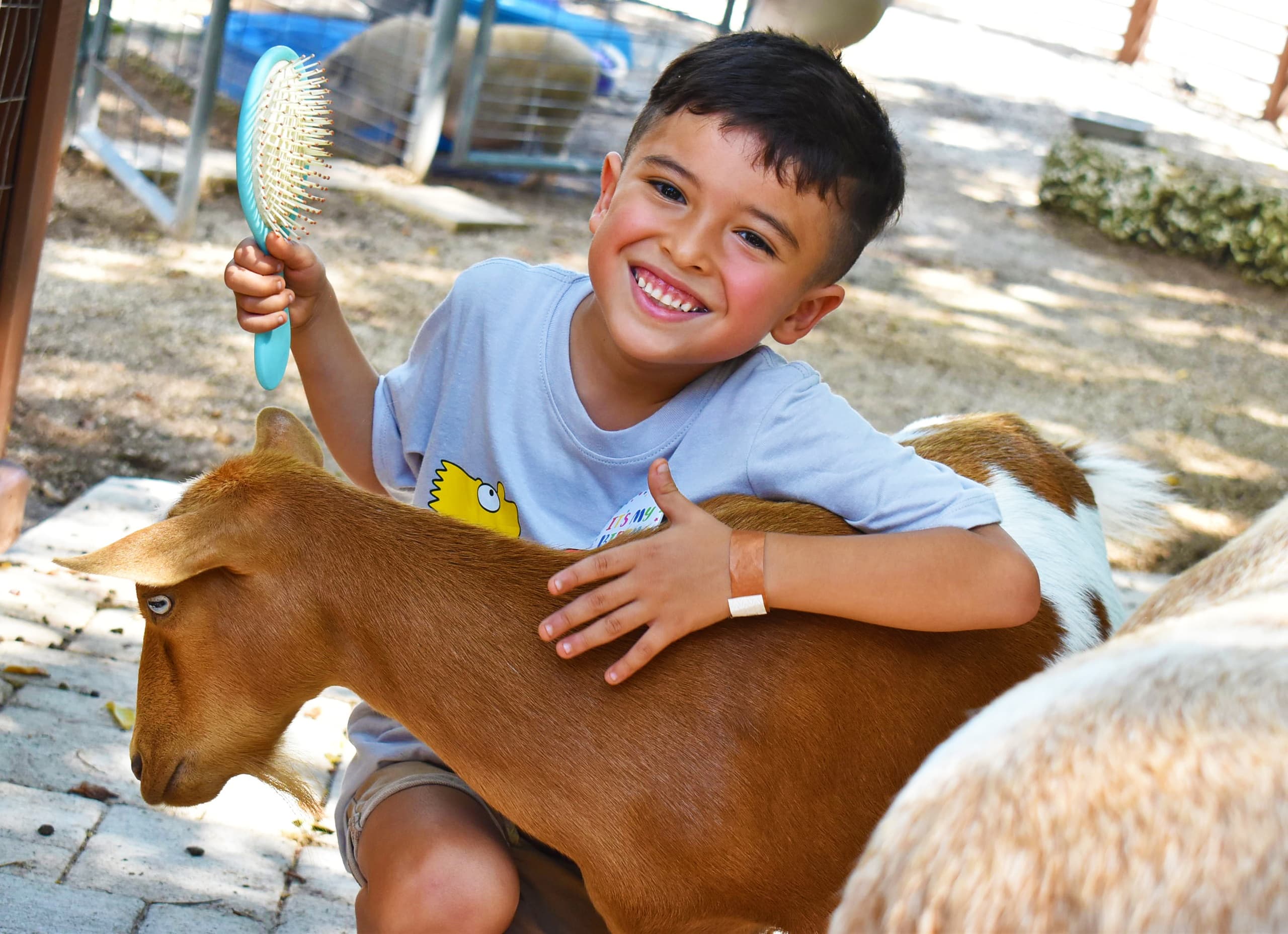 Petting Zoo Encounter