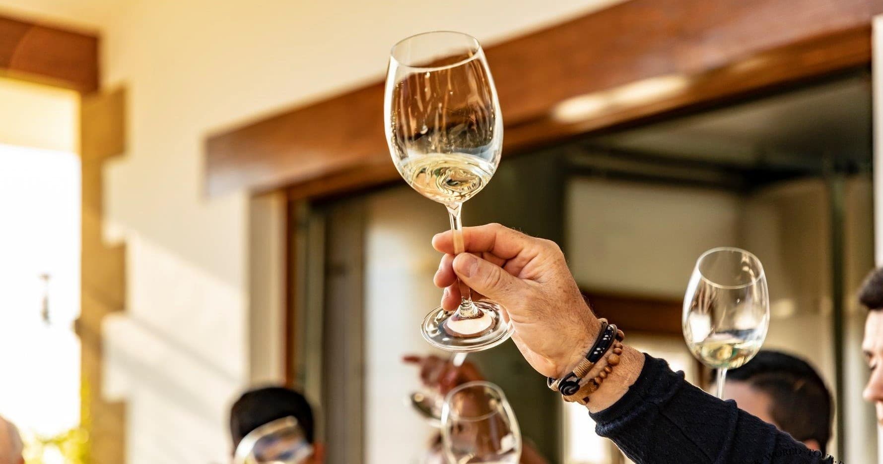 Basque vineyard experience : Txakoli wine tasting & pintxos from Bilbao