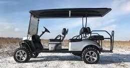6 Person Golf Cart Rentals