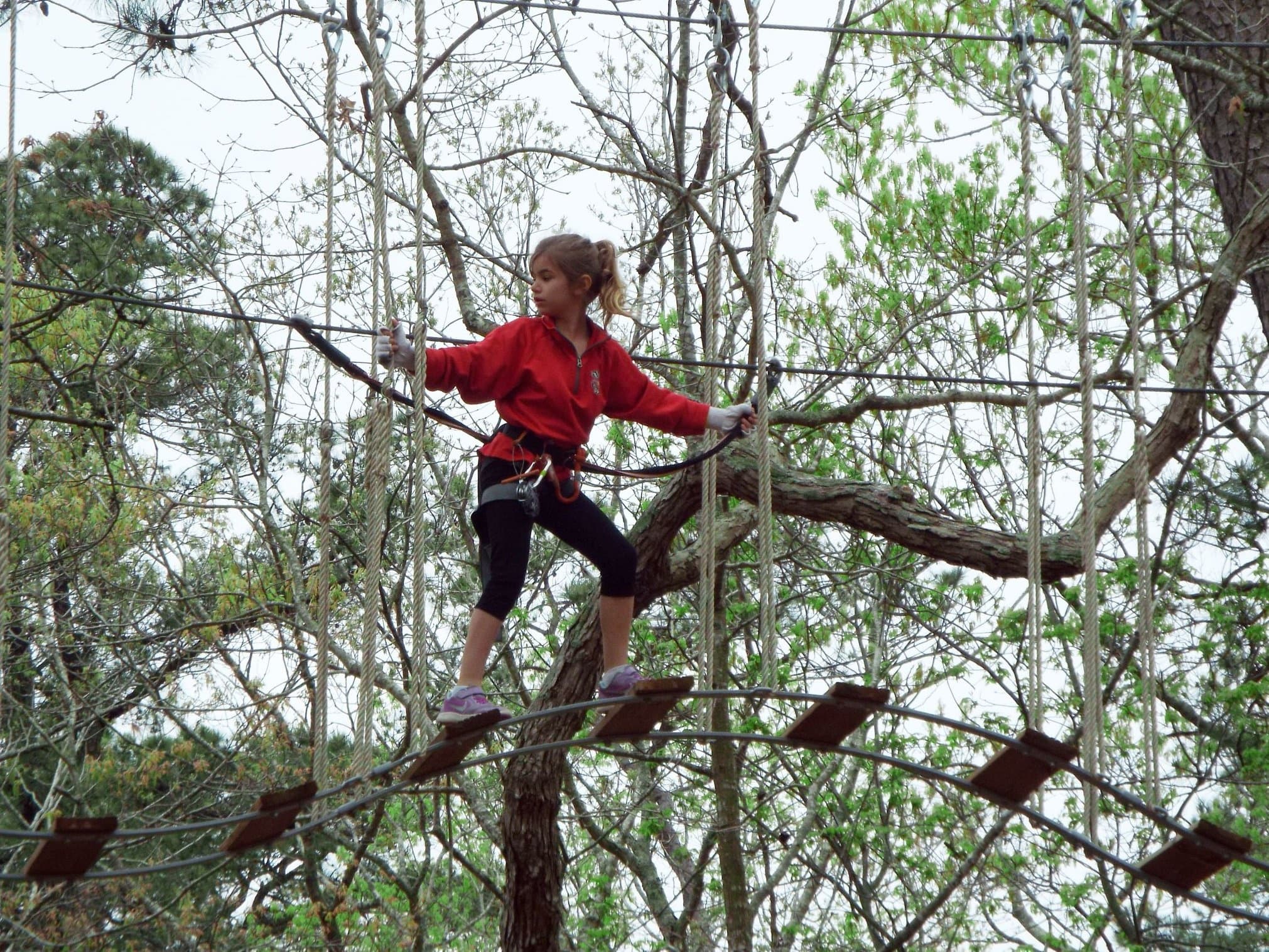 Kids Treetop Adventure Course