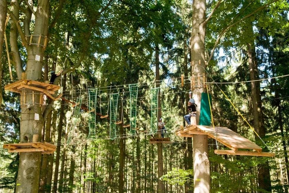 Hochseilgarten Schulklassen