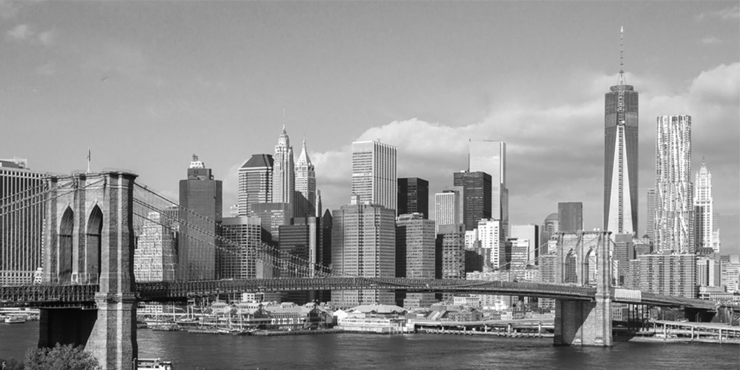 Private Guided Tour - New York City - The Downtown Experience