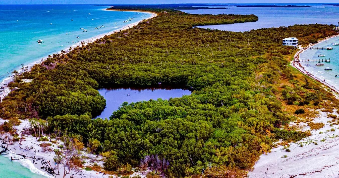 Cayo Costa Shelling & Nature Trips