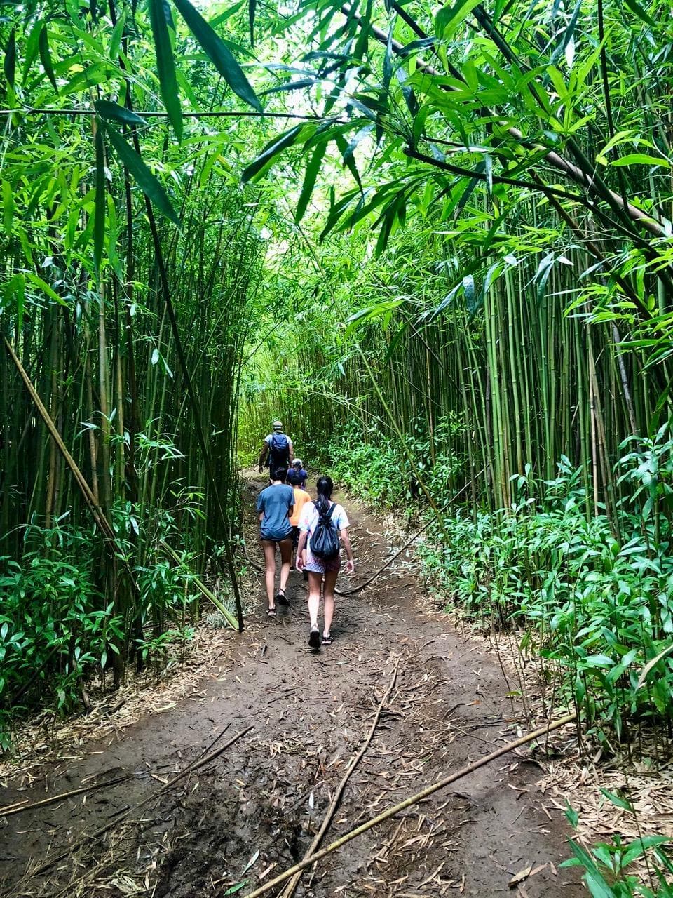 Bamboo Falls Hike
