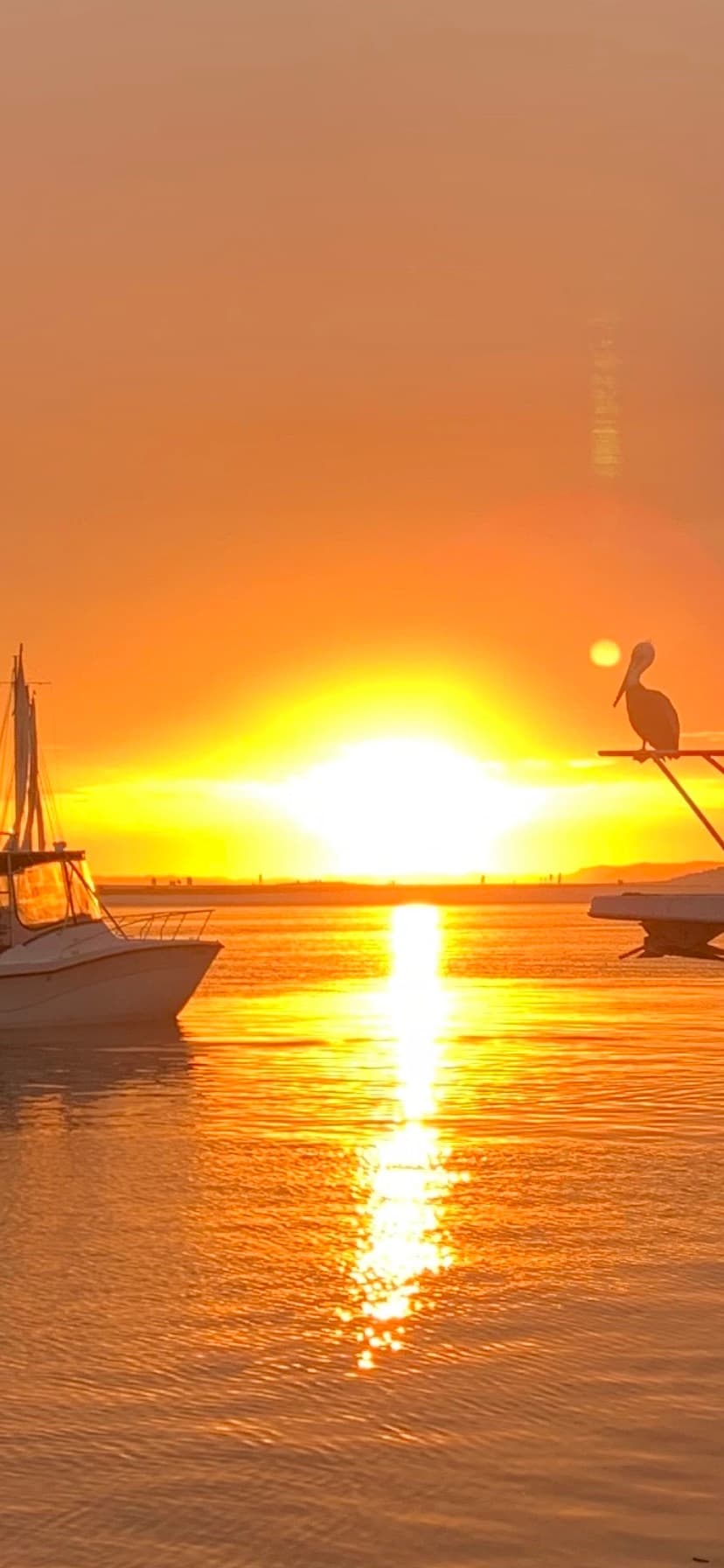 Two Hour Sunset Sailing Charter