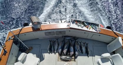 Nomad Private Charter