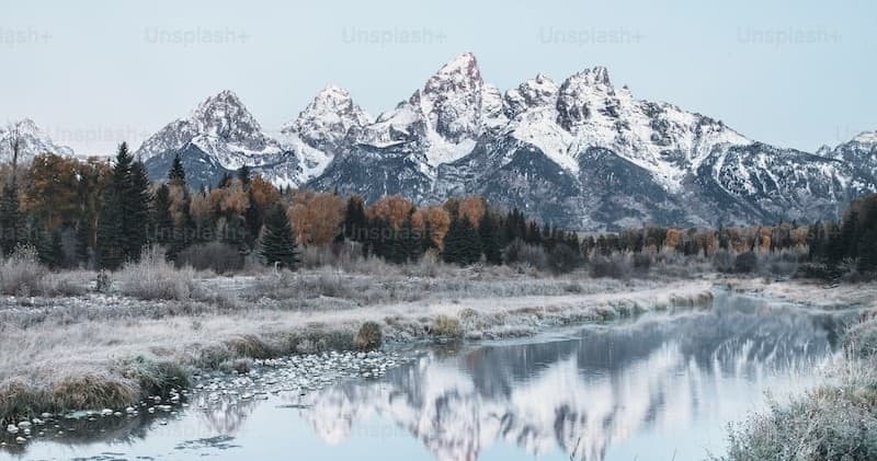 Grand Tetons Winter Wonderland: Full Day Public Tour