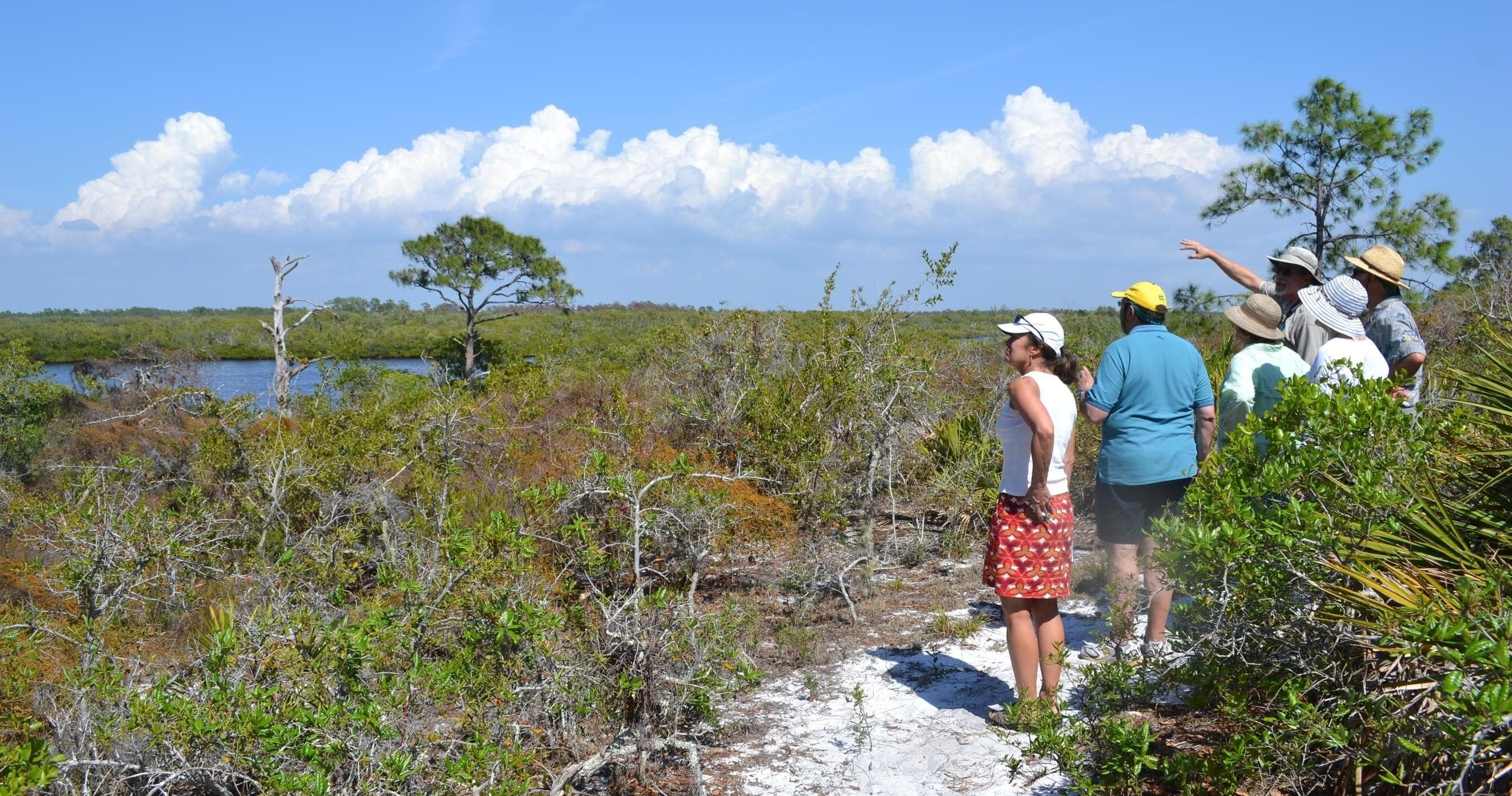 High Points Ancient Island Excursion