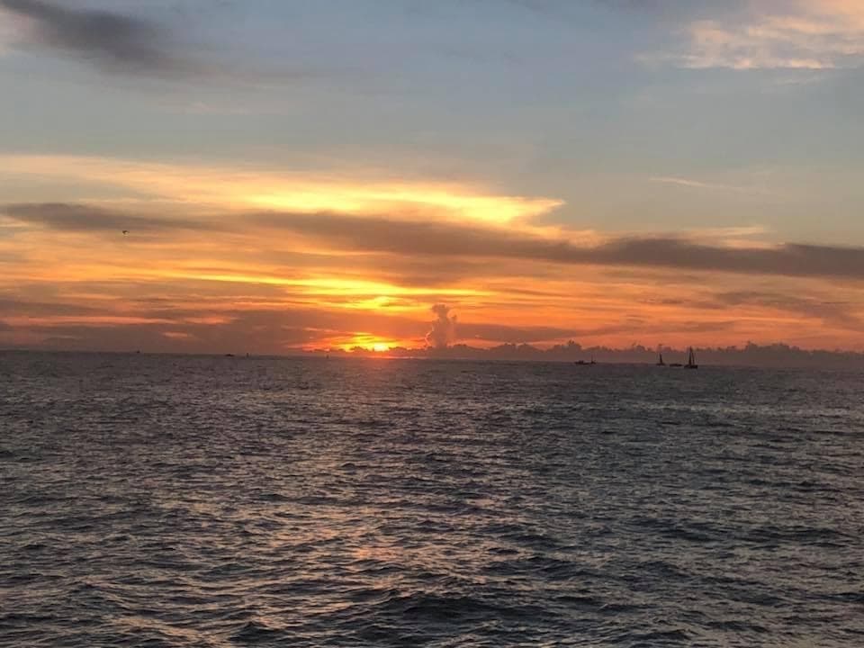 Sunset Dolphin Tour & Shell Island Snorkel Adventure