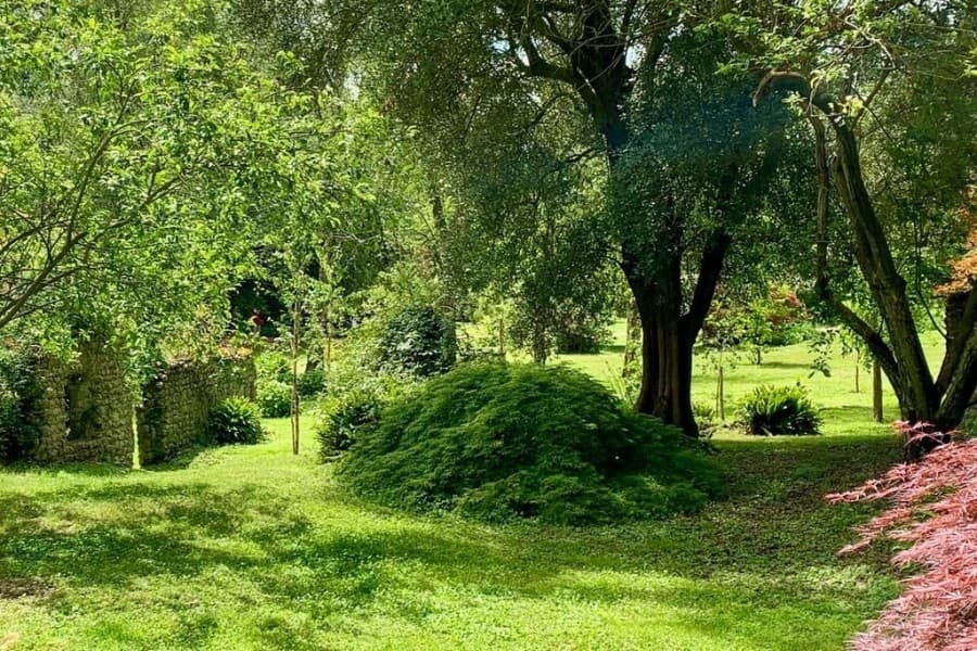 Ninfa & Sermoneta Private tour
