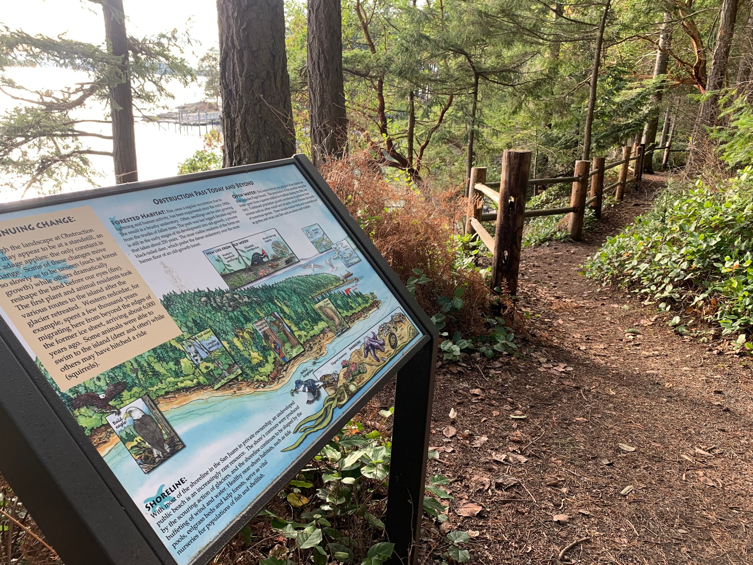Water Taxi to Sucia Island State Park