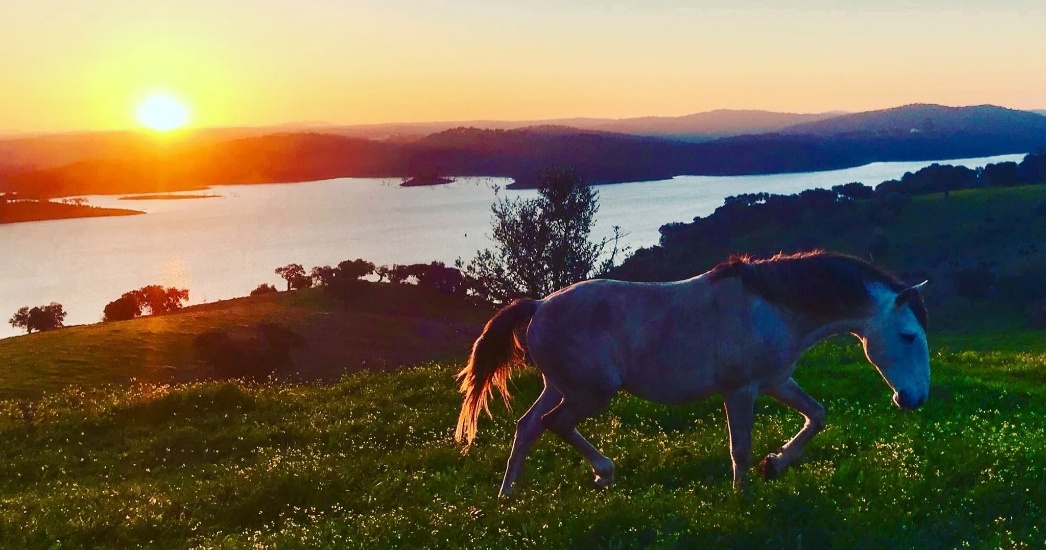 Horseback Riding Farm Tour