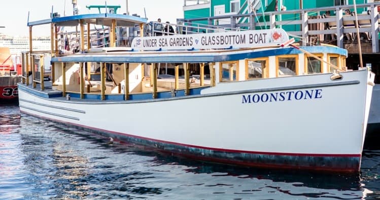 Glass Bottom Boat Voyage