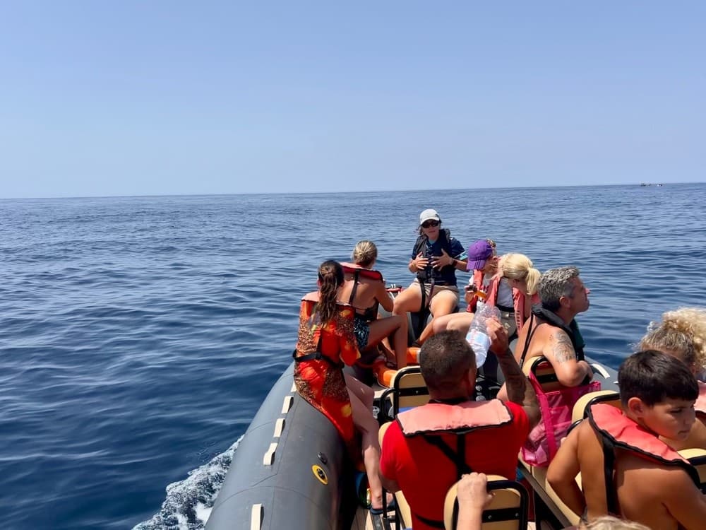 EXPEDITION🐬🐋Dolphins & Marine Wildlife · Private tour