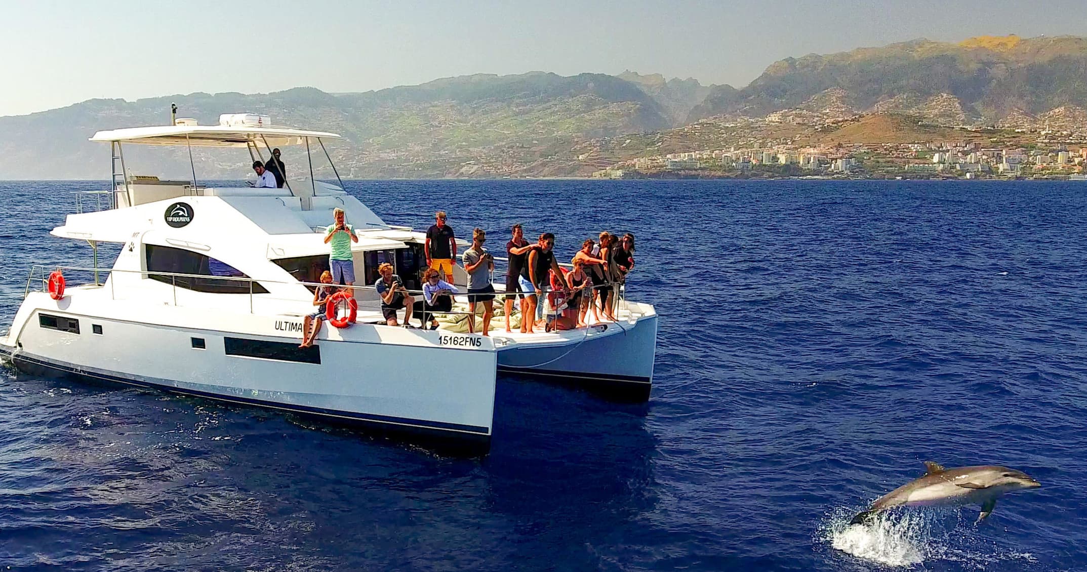 Dolphin and Whale Watching Luxury Catamaran