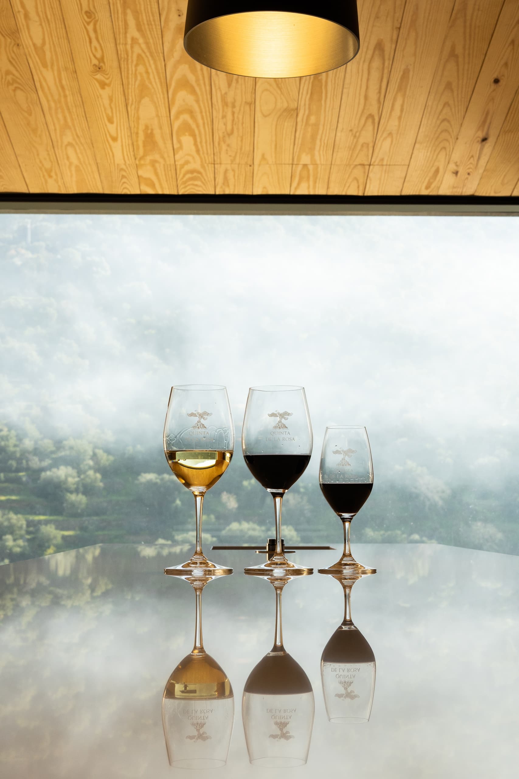 Prova de Vinhos Quinta de la Rosa