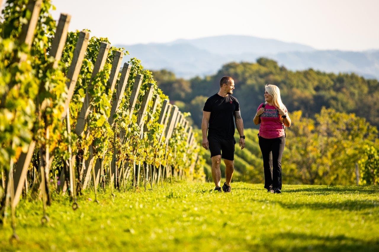 Ptuj: Getting to know the spirit of the wine at Mestni Vrh