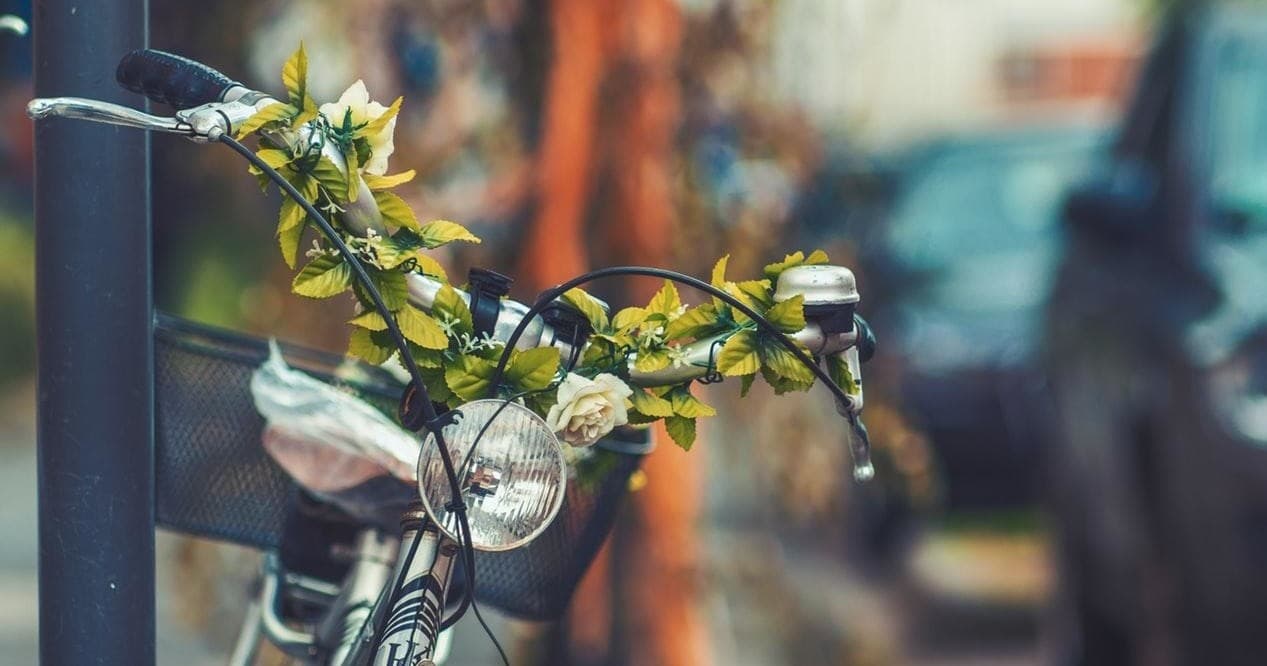 Rent a Bike (By hour rent)