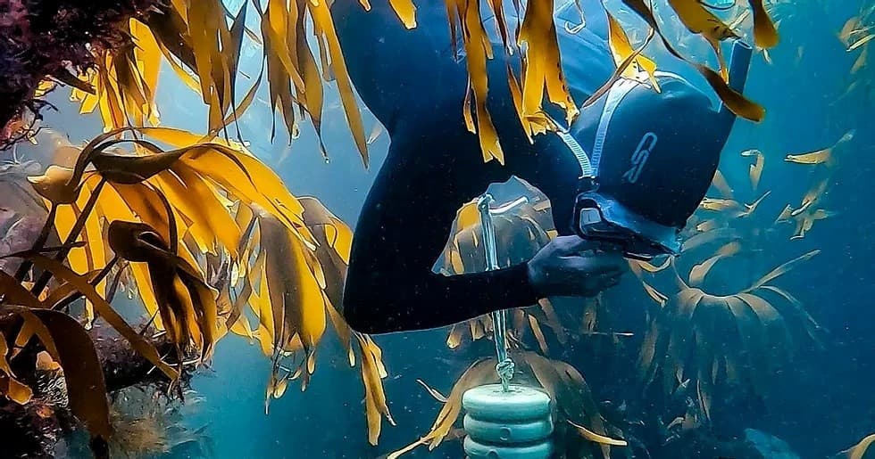 Basic Freediving – Full Day Introduction