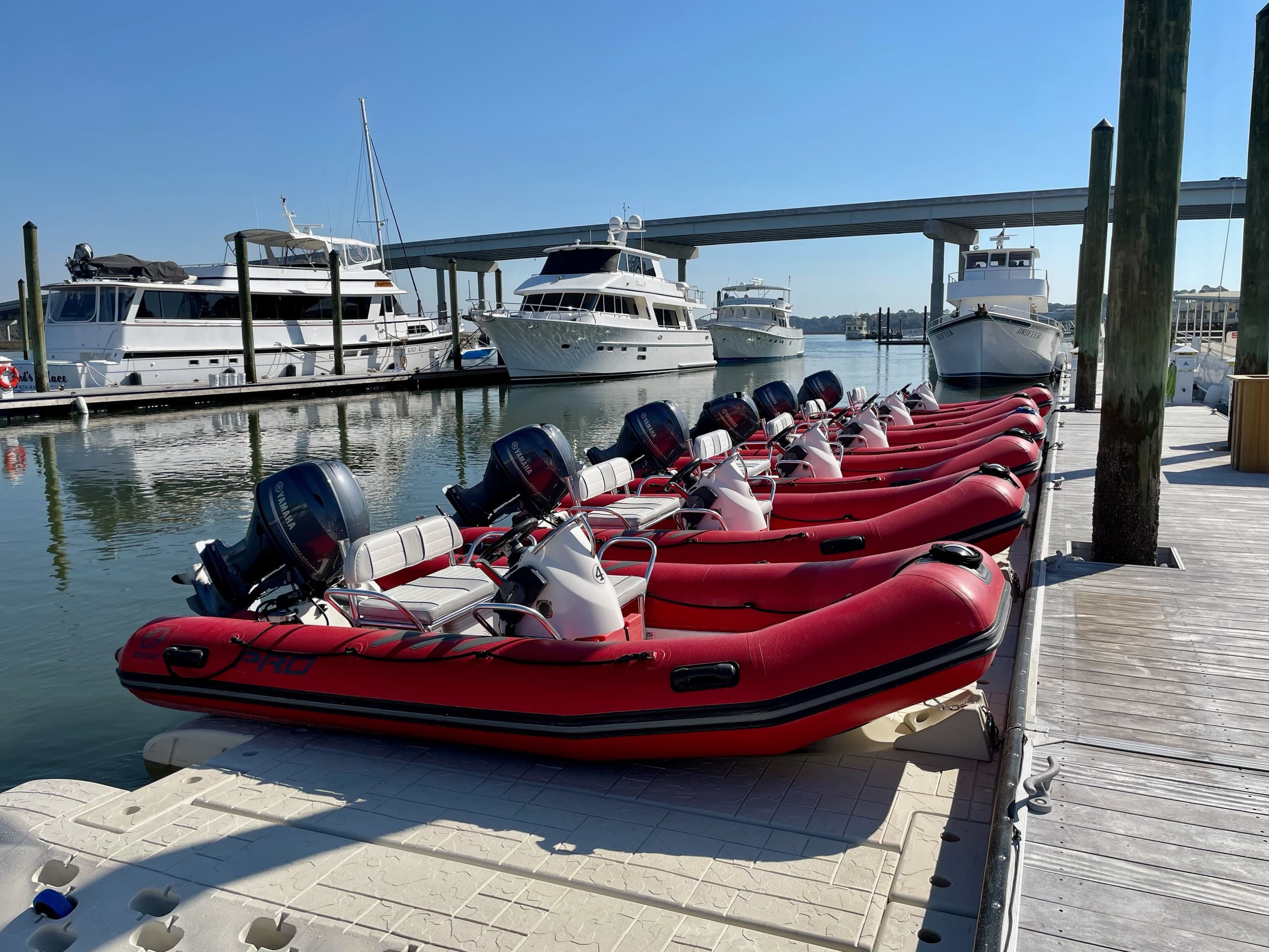 Mini Boat Dolphin Tour