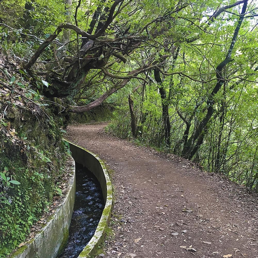 Ribeiro Frio - Portela