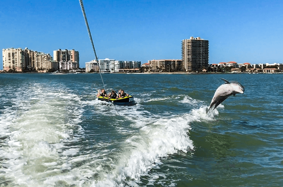 Breakwater Adventures Tubing and Dolphin Tour